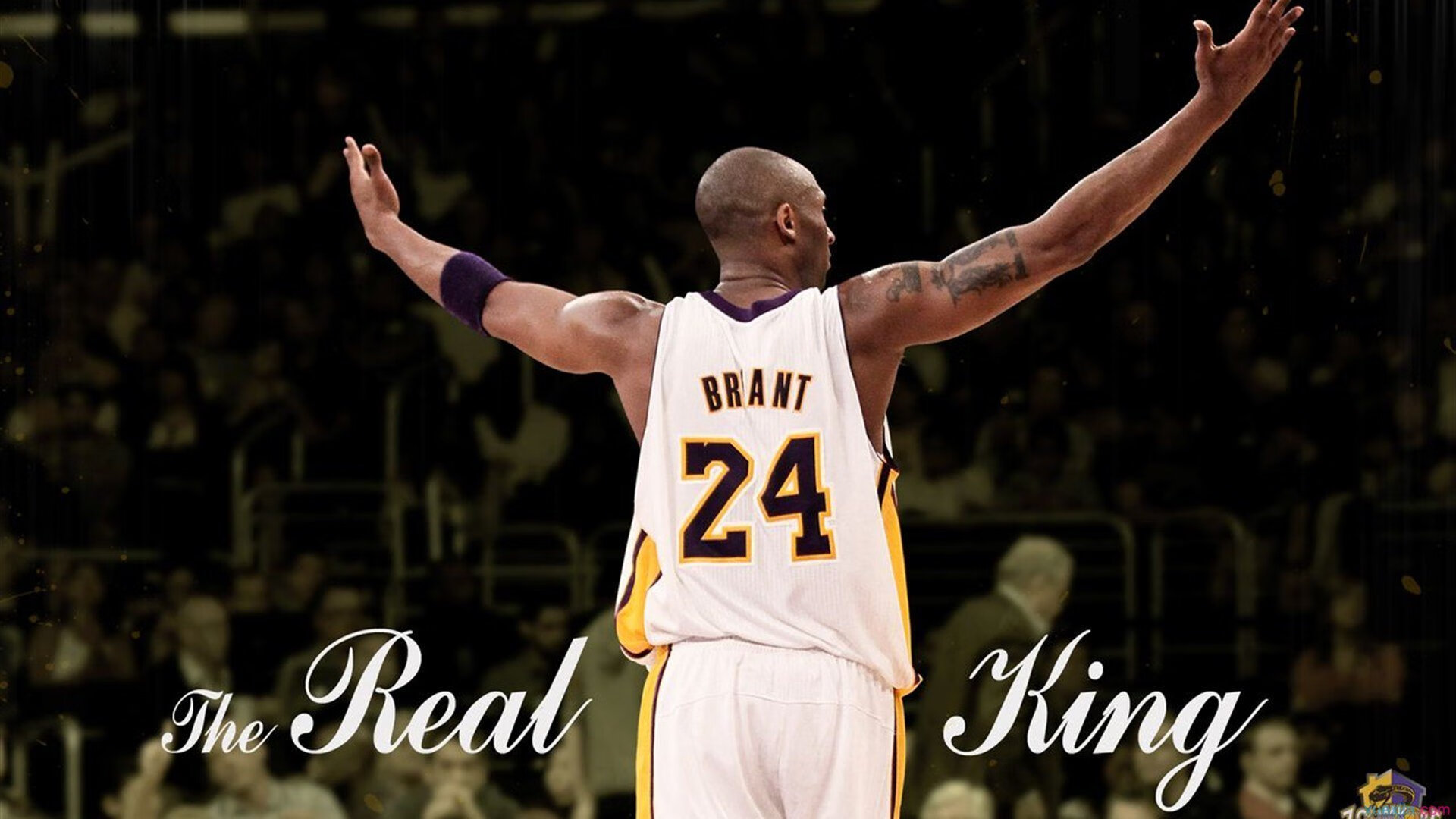 开云体育下载-切特撕碎铁幕，森林狼爆冷爵士，新狼王咆哮盐湖城